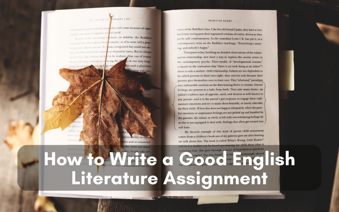 How to Write a Good English Literature Assignment