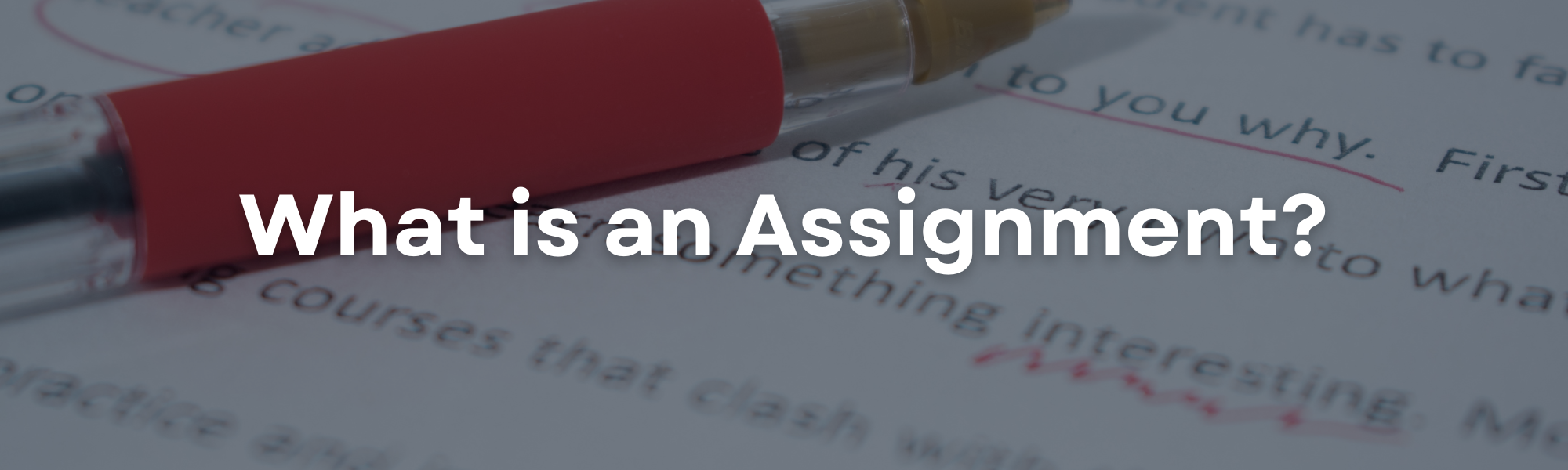 Assignment writing services