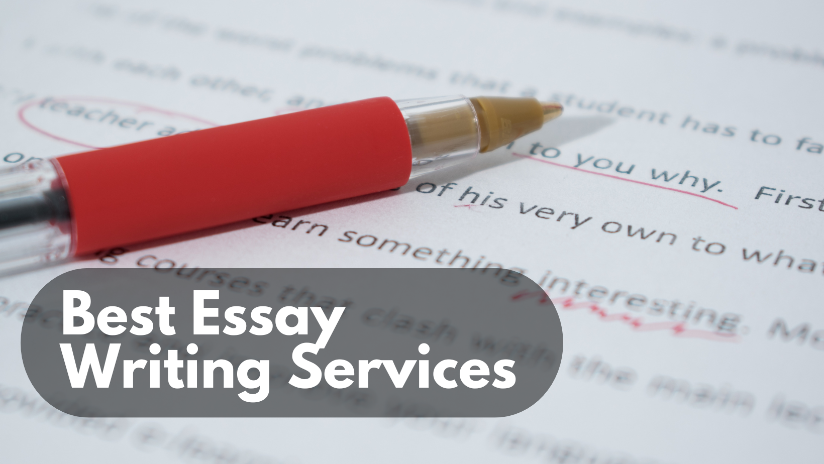 Best Essay Writing Services